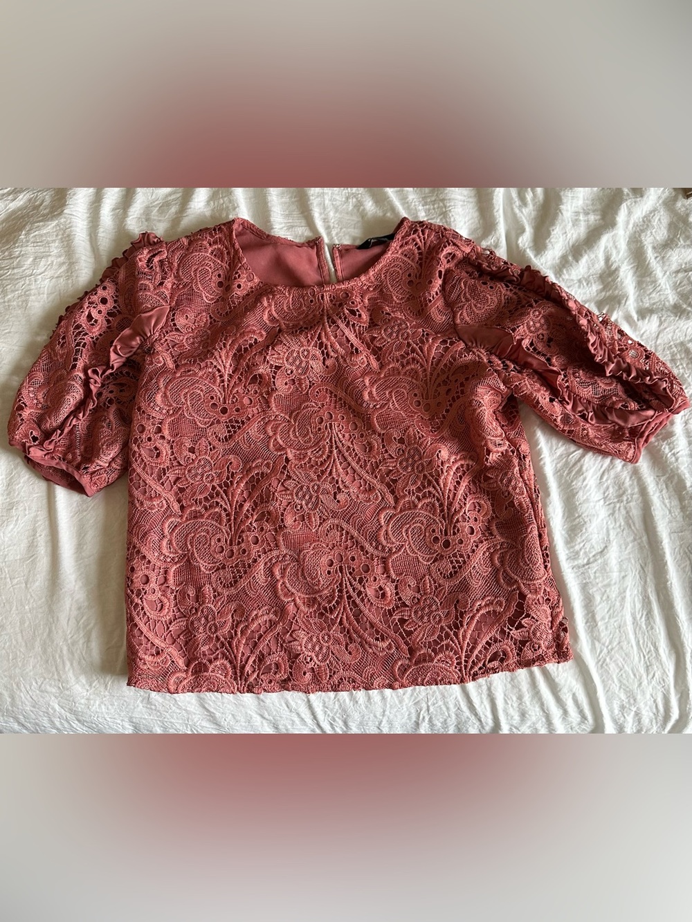 Express Lace Short sleeve Office Wear in Pink Rose Color Size Small